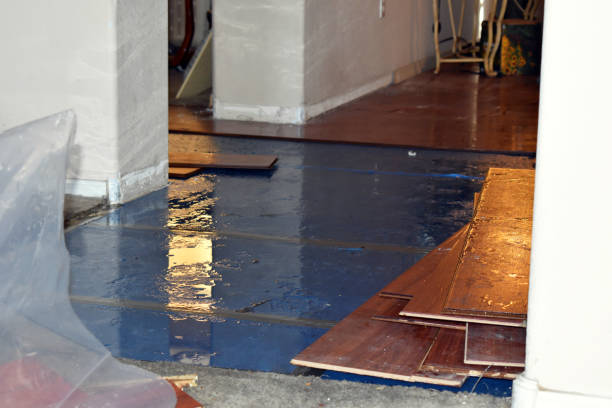 Professional Flood Cleanup technician working in Burton, WV