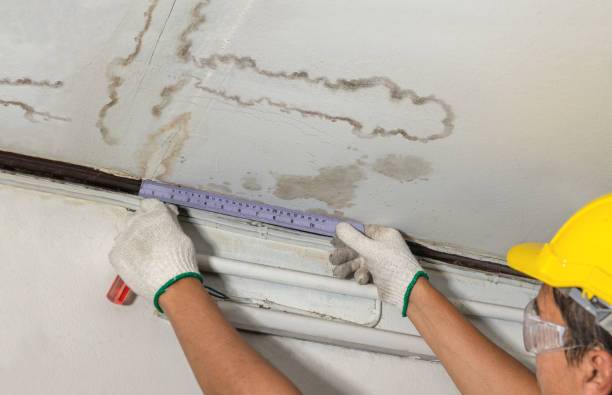 Reliable Flood Cleanup contractor in Burton, WV by Water Damage Irwin